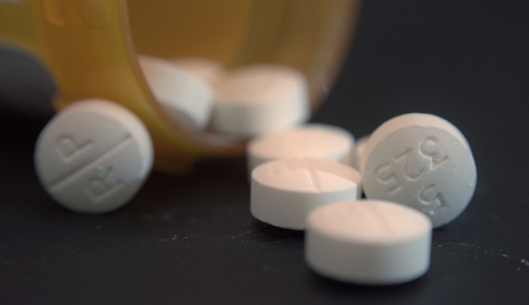 A budget deal reached Wednesday by Senate leadership includes $6 billion in funding to fight the opioid epidemic, according to a source familiar with the deal, a boost from the extra $1.4 billion that Congress devoted to it in the 2017 and 2018 fiscal years. (AP Photo/Patrick Sison)