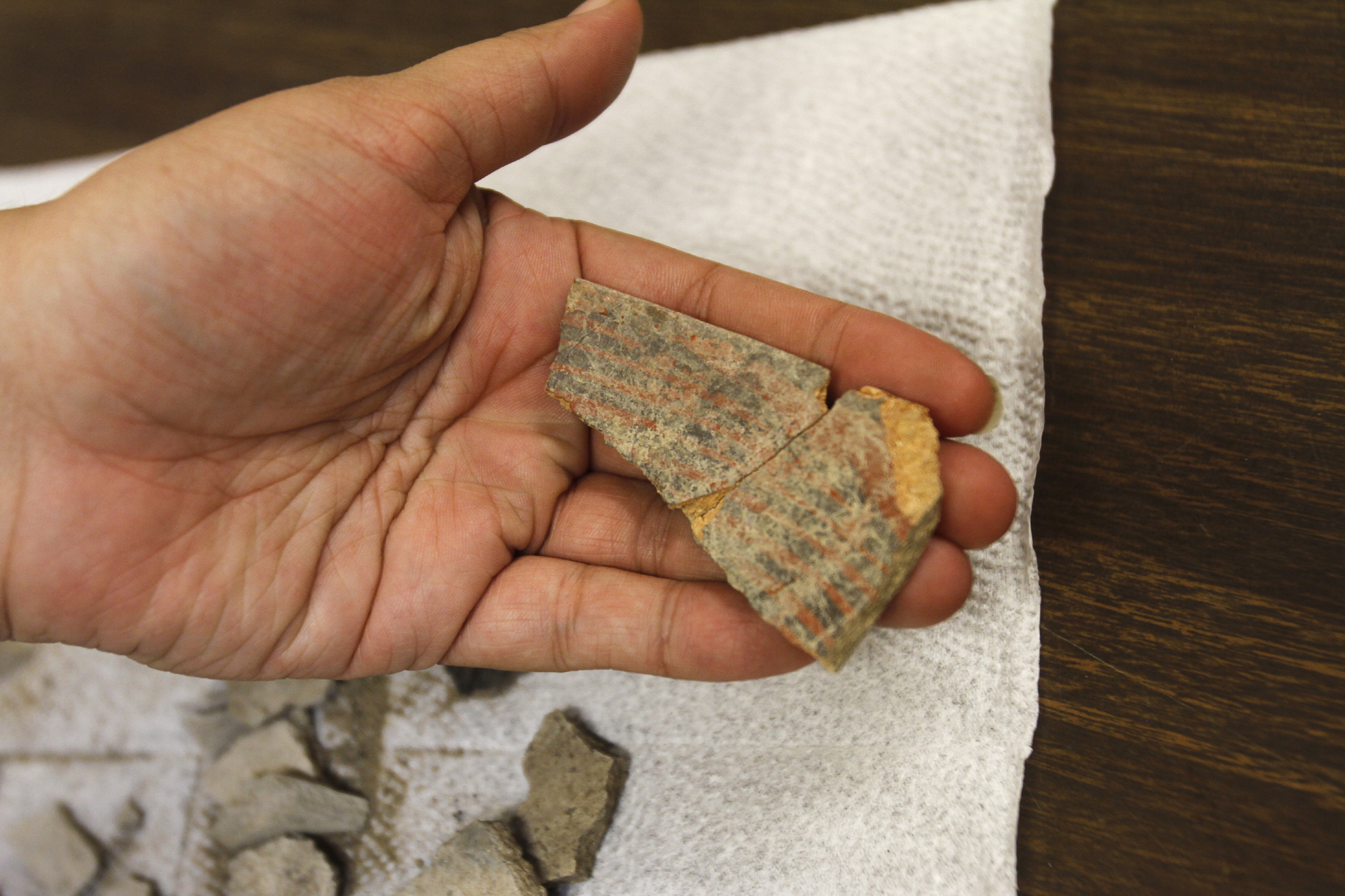 Artifacts found during New Mexico highway work
