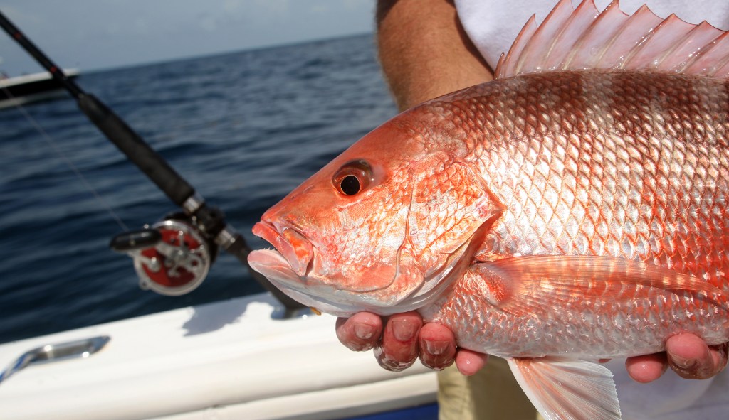 Here’s how Congress can fix a failed policy on fishing