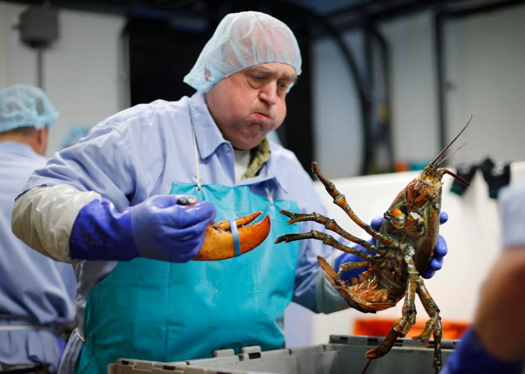 Maine to fight Canada’s hold on lobster processing