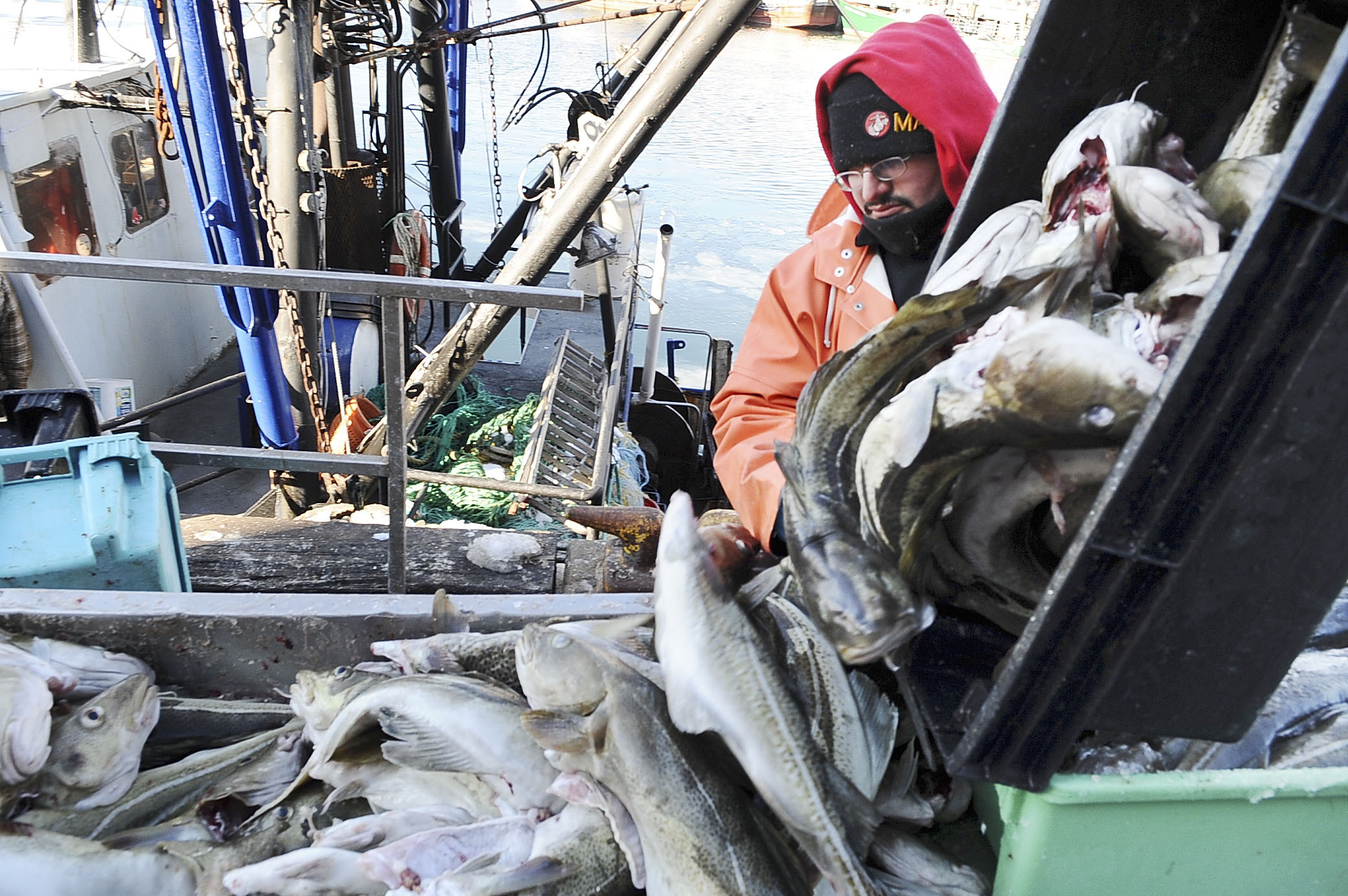 Massachusetts Attorney General: Stop new federal fishing catch limits