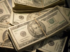 Woman pleads guilty to scamming federal programs out of $250,000