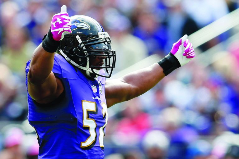 Rob Carr/Getty Images
Baltimore linebacker Ray Lewis will retire as the only player in NFL history with at least 40 career sacks and 30 interceptions.