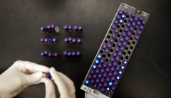 FBI and CDC investigating ‘smallpox’ vials found in Pennsylvania Merck laboratory