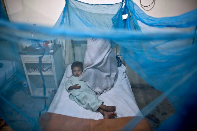 Trial: dengue shot offers some protection