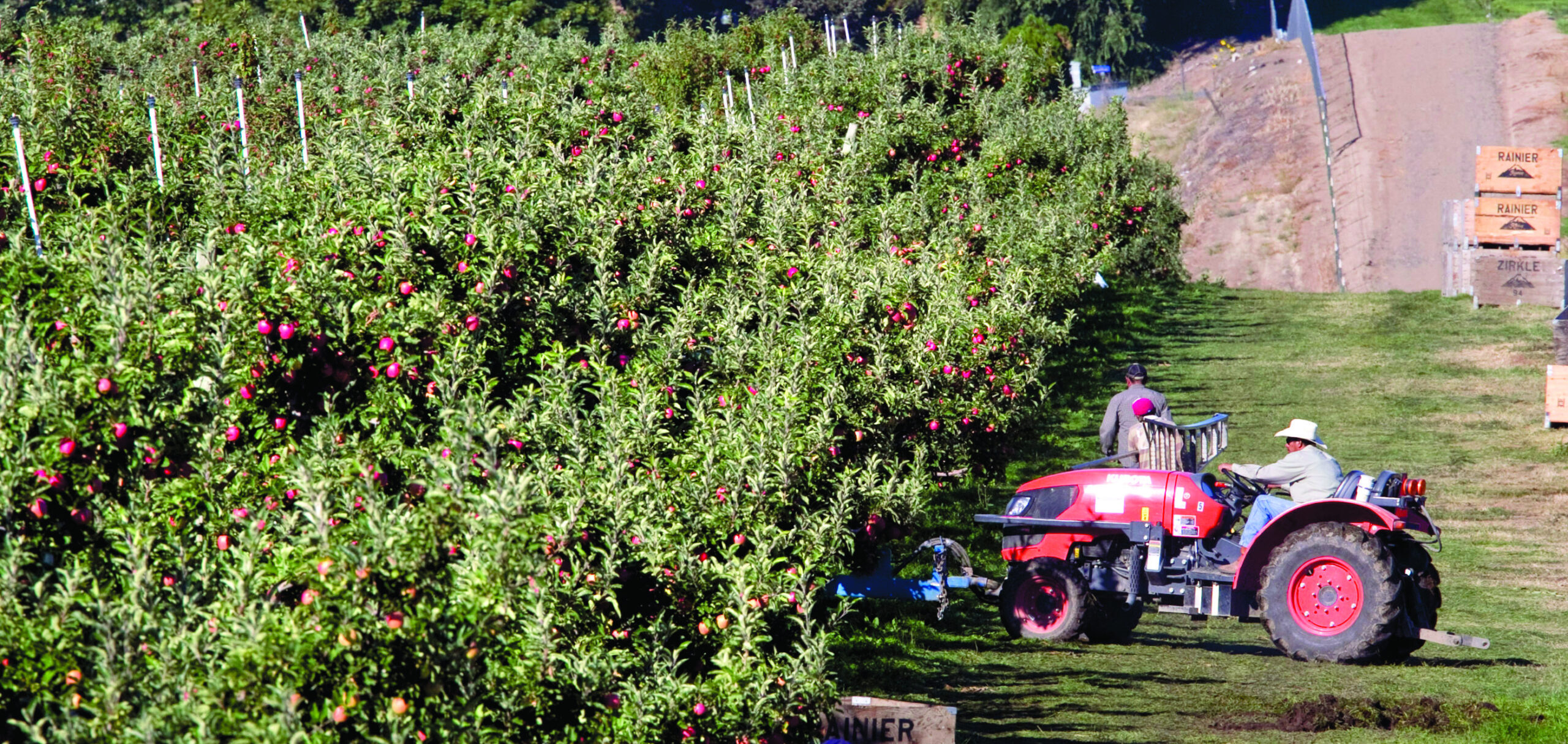 Future of Wash., Colo. pot farming still uncertain