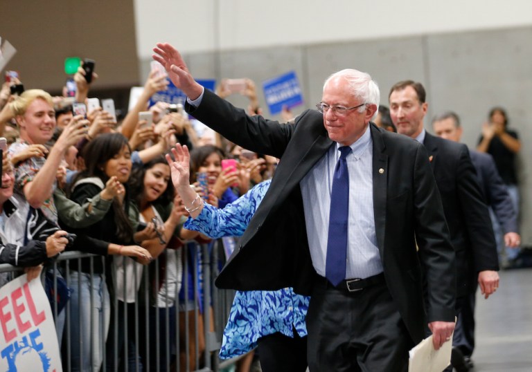 Sanders won the Hawaii caucus on Saturday with the help of former DNC Vice Chair Tulsi Gabbard. (AP Photo/Lenny Ignelzi)