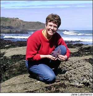 A House subcommittee on investigations is running into road-blocks from officials at the National Oceanic and Atmospheric Administration (NOAA) concerning travels costs by the agency's chief, Dr. Jane Lubchenco, and other senior managers. (AP Photo)