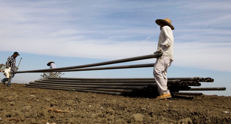 FILE - In this June 25, 2013, file photo, workers move irrigation pipes from a field in the Westlands Water District near Five Points, Calif. Westlands and another water district have asked a federal judge to stop emergency releases of water from a Northern California reservoir to help salmon in the Klamath Basin survive the drought. The U.S. Bureau of Reclamation started releasing the extra water Saturday, Aug. 23. 2014. (AP Photo/Gosia Wozniacka,File)