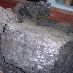 WH Climate Adviser: ‘A War on Coal Is Exactly What’s Needed’