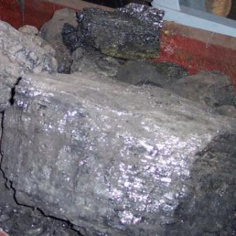 WH Climate Adviser: ‘A War on Coal Is Exactly What’s Needed’