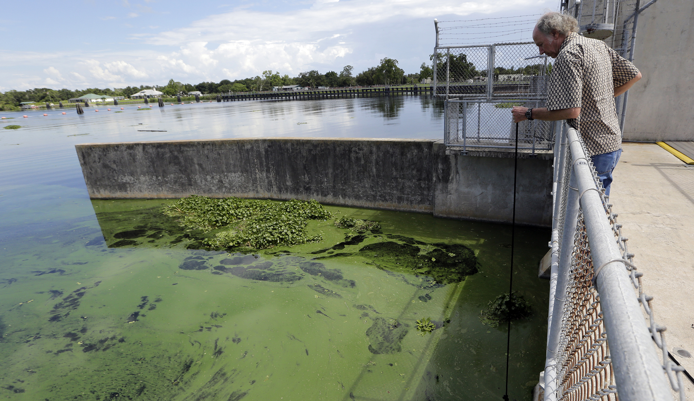 Disgusting green sludge has become the main issue in Florida’s Senate race