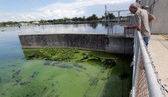 Disgusting green sludge has become the main issue in Florida’s Senate race