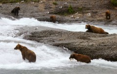 Thousands protest Zinke move to expand hunting at wildlife preserves