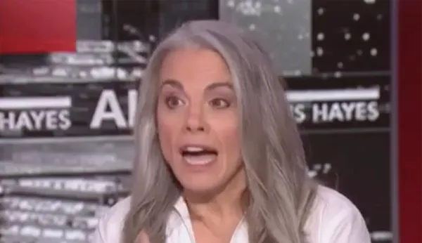 MSNBC guest: What Trump administration is doing at the border ‘very cleanly’ matches concentration camps