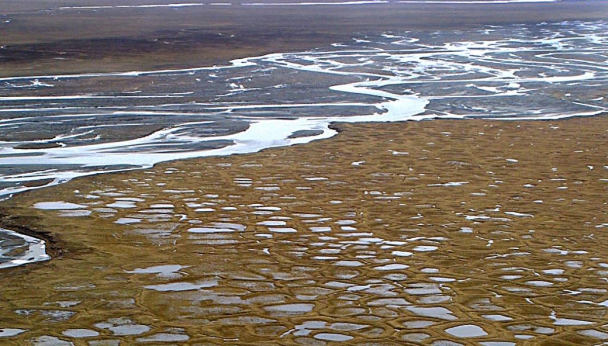 Little interest in first Trump lease sale in Alaska wildlife refuge, with only two bidders