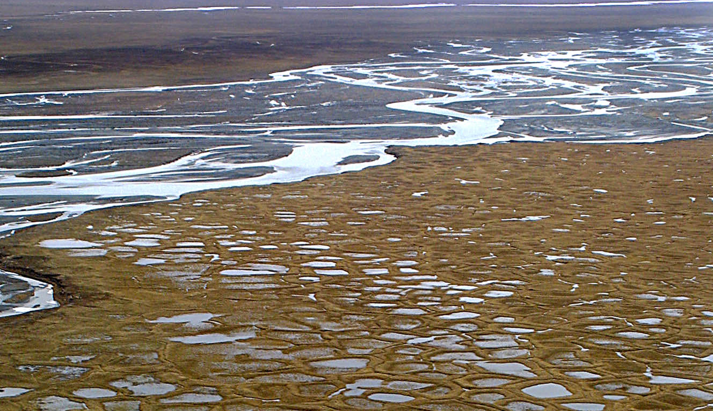 Biden suspends oil drilling leases in Arctic refuge
