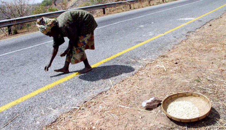 In this 2002 photo, Aluniya Ngulube gathers corn from the scene of an accident where a truck carrying corn had spilled its load on a road in Mumpansha, Zambia.