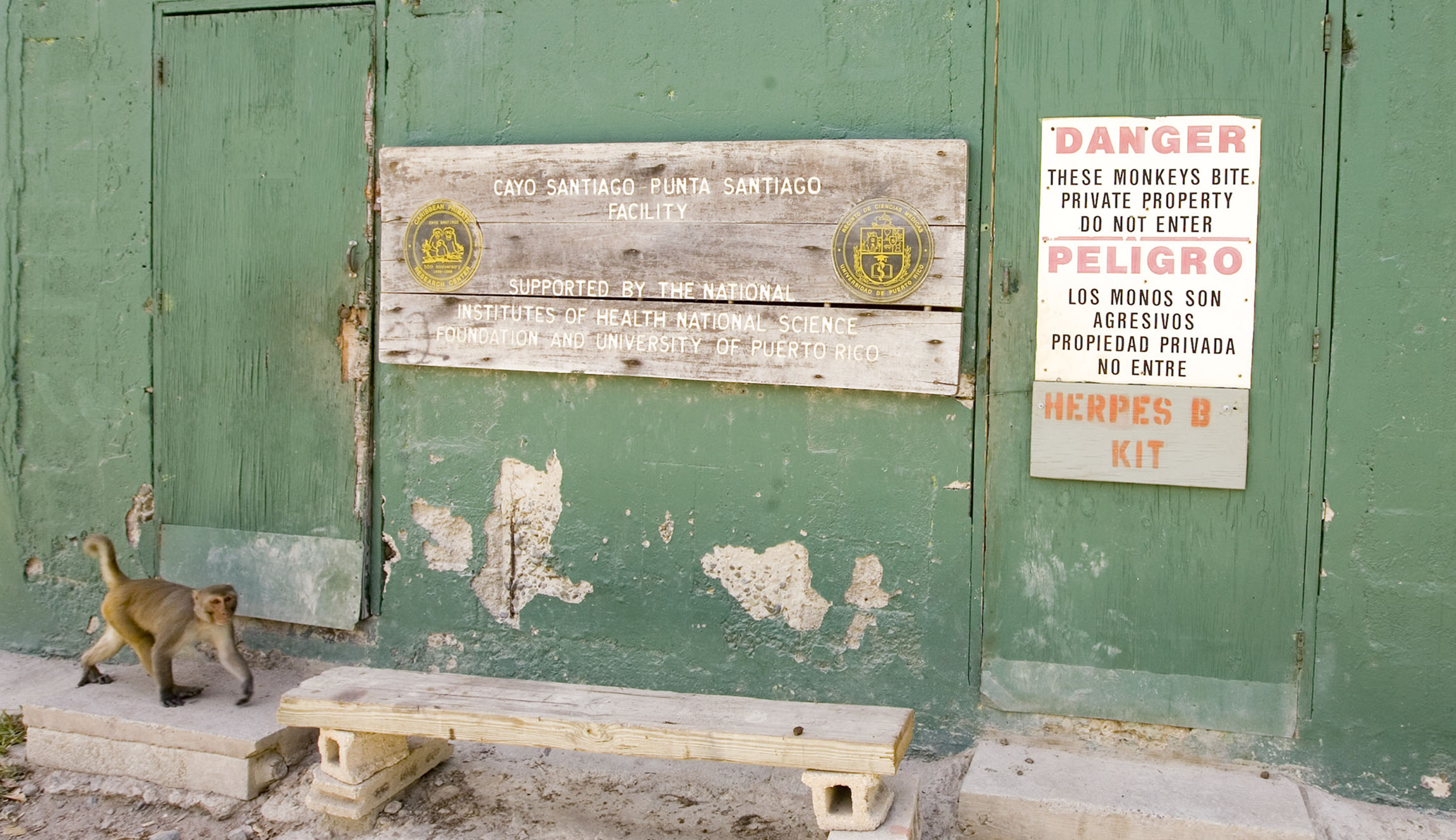 Stop monkeying around with our tax dollars