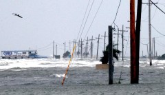 We can fight climate change, and we can do it with conservative and libertarian solutions