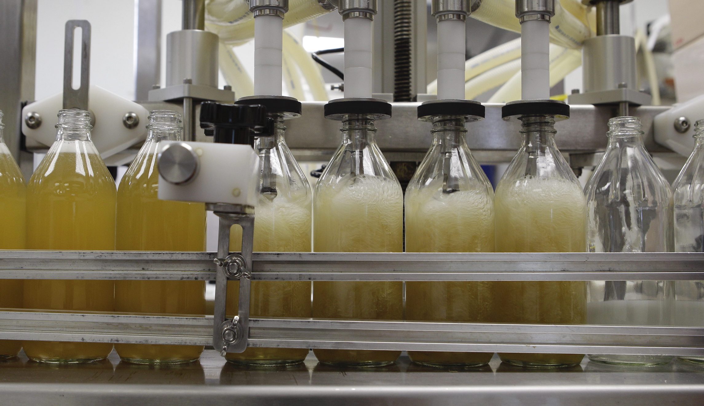 When the tax man comes for your kombucha