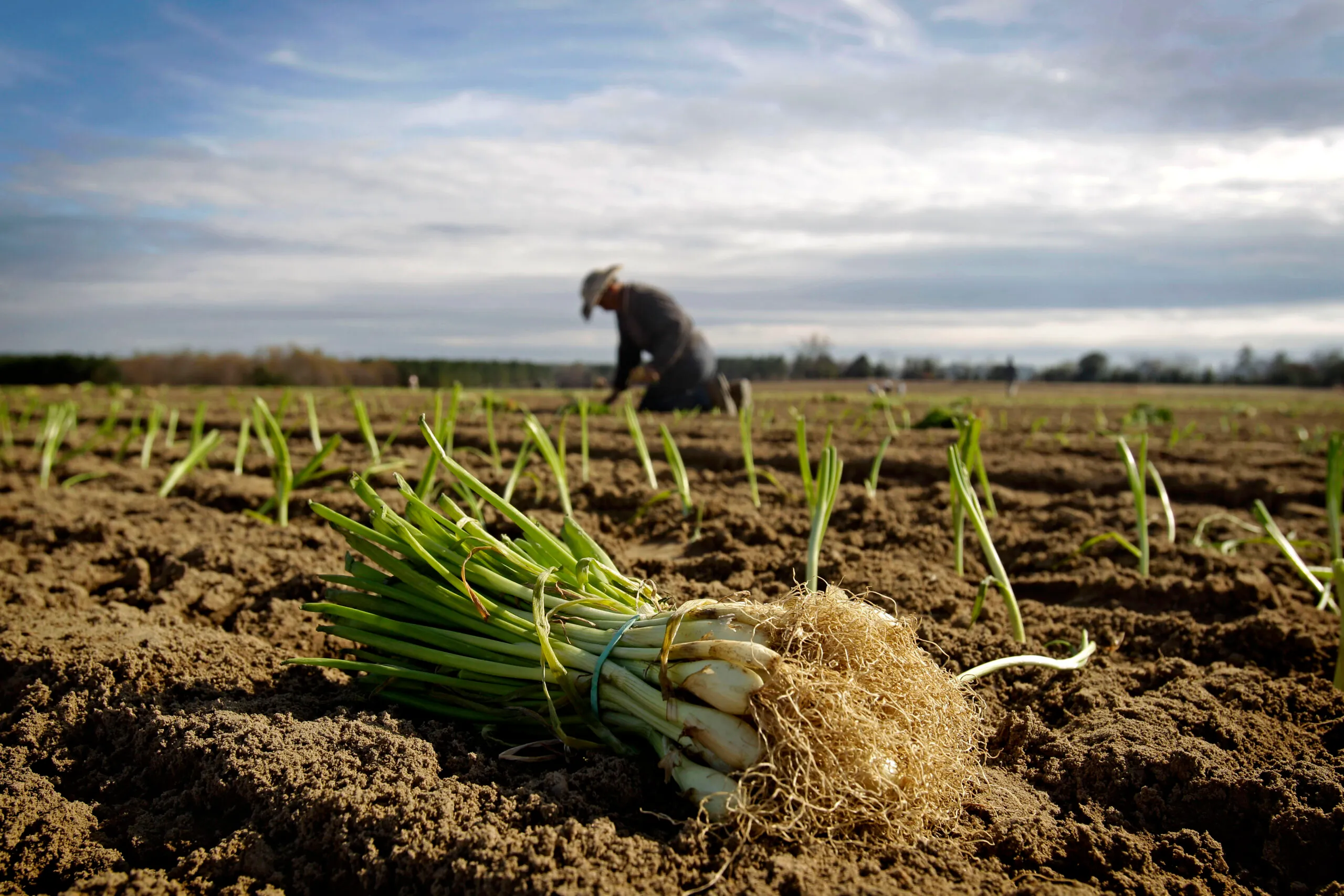 House poised to advance immigration reform, wrapped in an agriculture bill