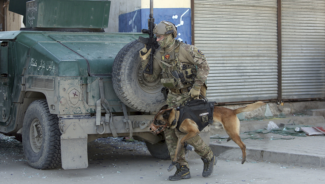 Congress is right to honor hero dogs