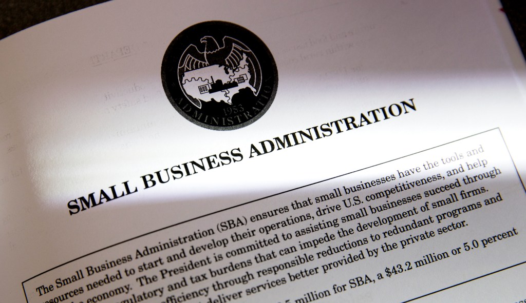 Small Business Administration system crashes, delaying pandemic rescue loans