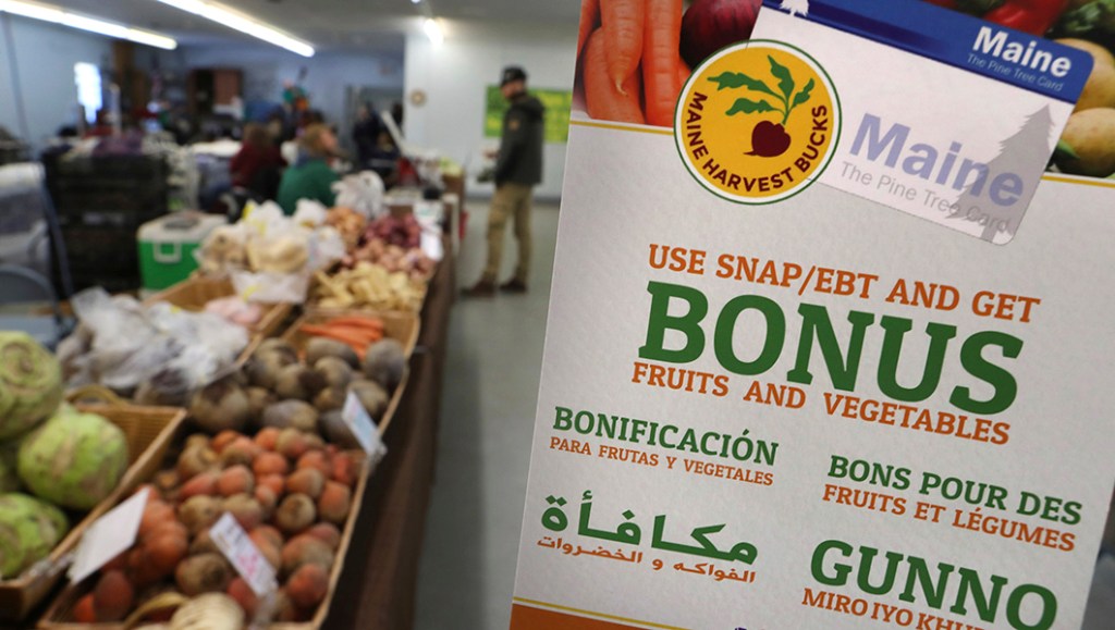 SNAP-eligible households to receive emergency funds this week