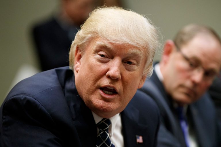 President Donald Trump speaks during a meeting with the Fraternal Order of Police, Tuesday, March 28, 2017, in the Roosevelt Room of the White House in Washington.