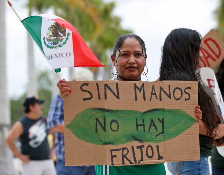 Mariana Azpeitia, a farm worker from Mexico, holds the flag of Mexico and a sign in Spanish that say "Without hands there are no beans" as she demonstrates in front of the Homestead, Fla., City Hall building Monday, May 1, 2017. Immigrant and union groups marched in cities across the United States to mark May Day and protest against President Donald Trump's efforts to boost deportations. 