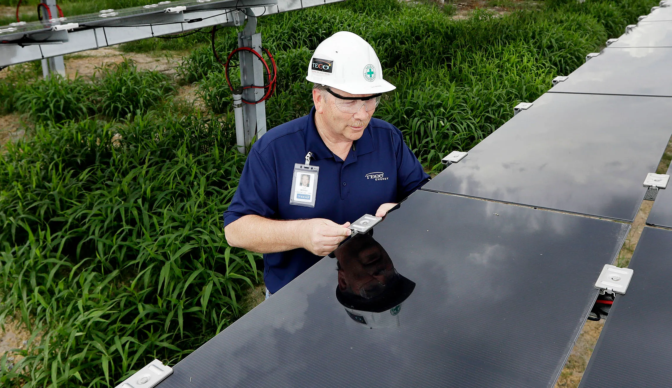 Solar industry blames Trump’s tariffs for slow third-quarter growth