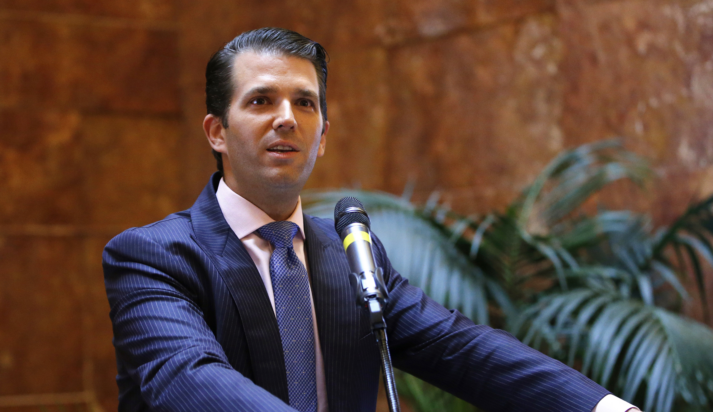 Trump Jr.: CNN covering for ‘leftist hack’ Carl Bernstein