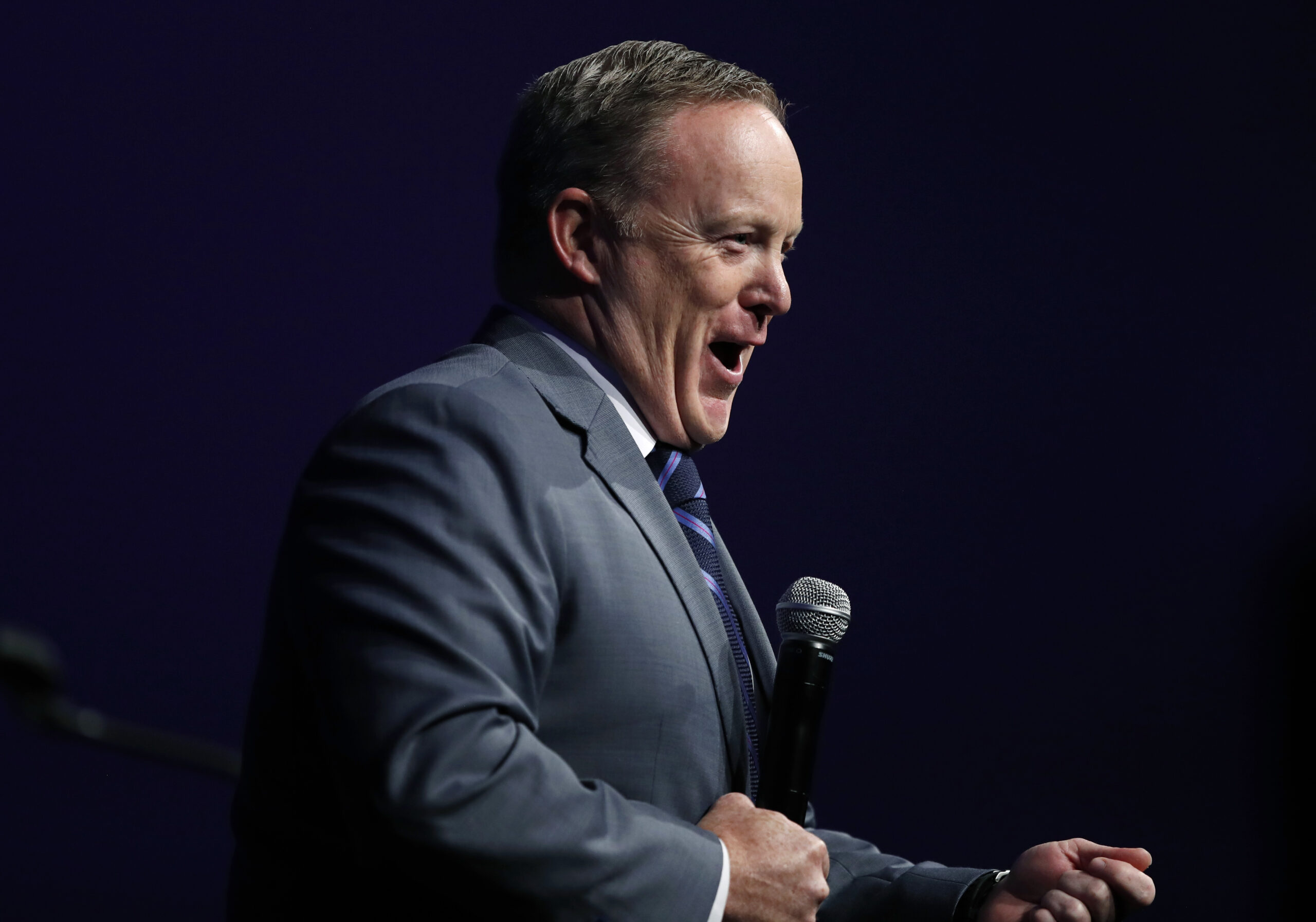 Sean Spicer: It takes ‘chemistry’ with Trump to survive