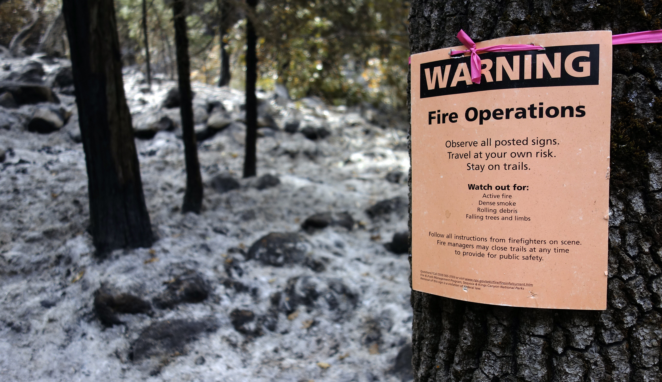 Farm bill a mixed bag for supporters of forest thinning to help stop wildfires