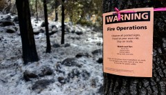 Farm bill a mixed bag for supporters of forest thinning to help stop wildfires