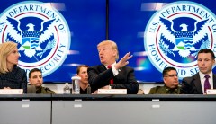 Trump circumvents lawmakers with yet another interim appointment