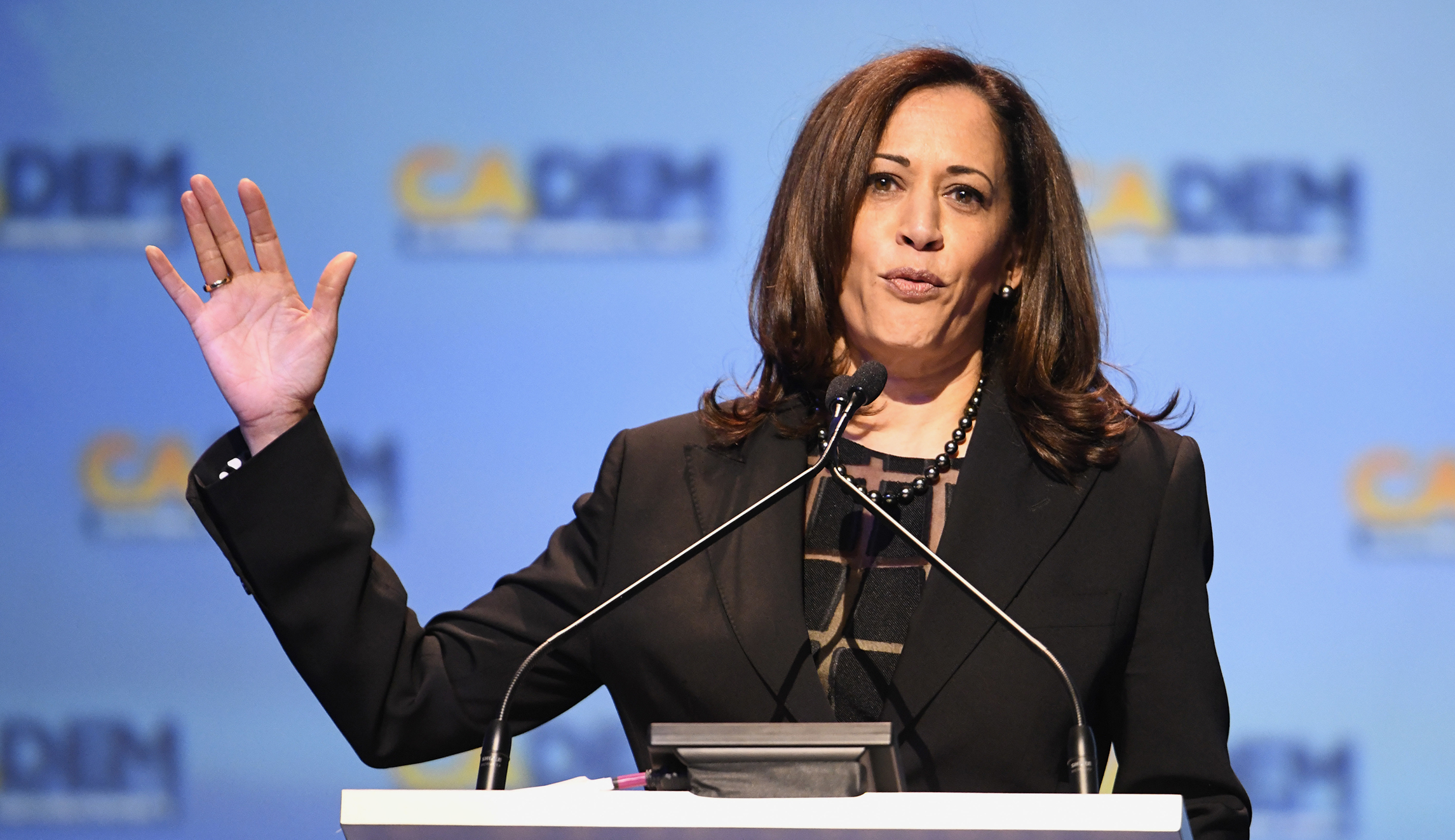 Kamala Harris draws parallel between ICE and the KKK