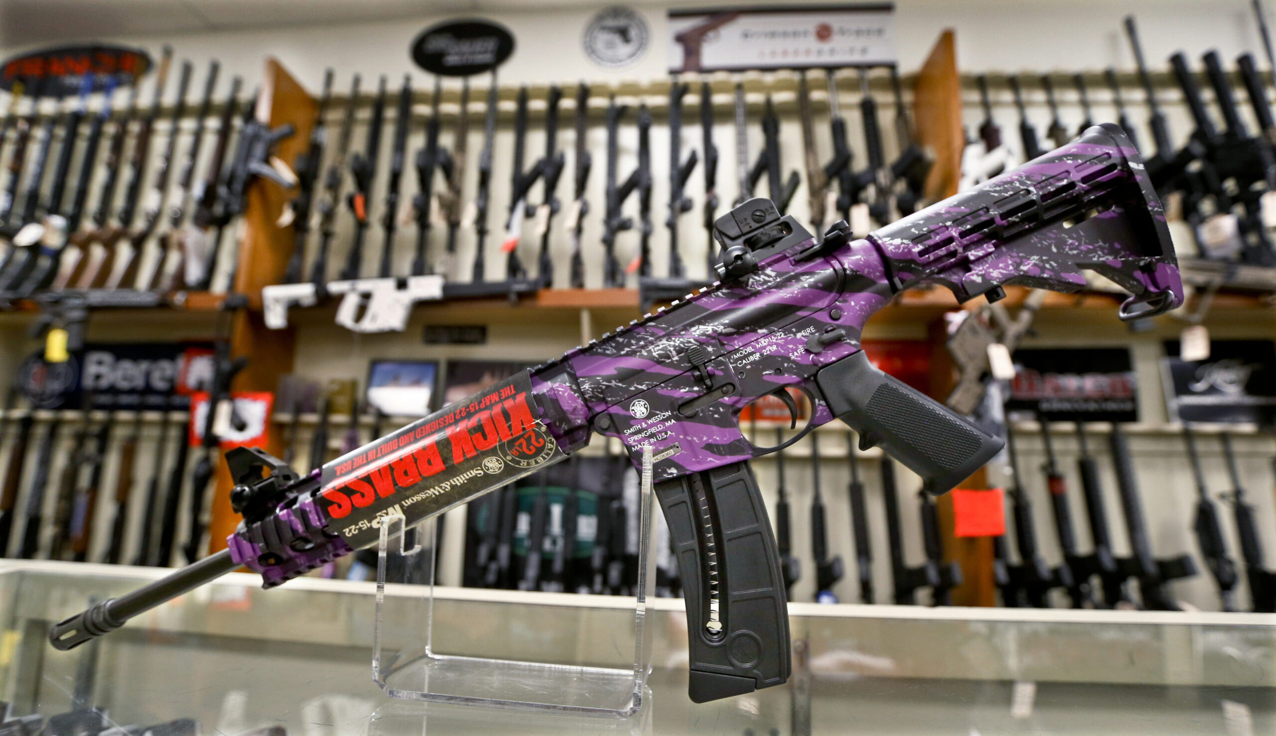 Firearm stocks shrug off gun-control momentum among House Democrats