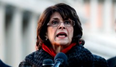 House, Senate committee is stacked against Trump’s border wall