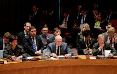 UN Security Council rejects Russian condemnation of Syria strike