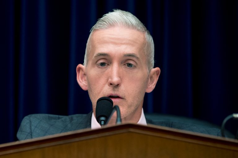 Chairman Trey Gowdy, R-S.C., speaks at a House Oversight and Government Reform Committee hearing on the 2020 Census, on Capitol Hill, Tuesday, May 8, 2018, in Washington.