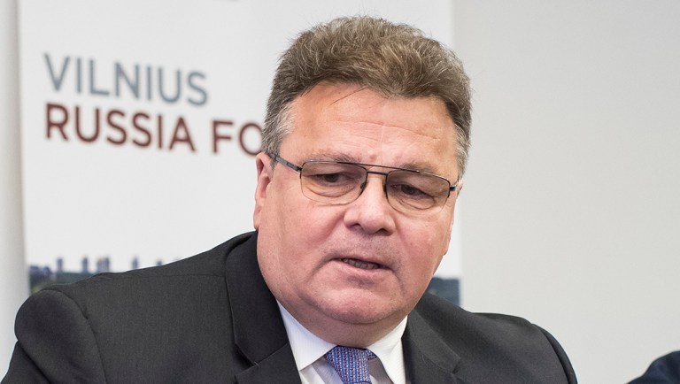Lithuania's Minister of Foreign Affairs Linas Linkevicius, center, speaks.