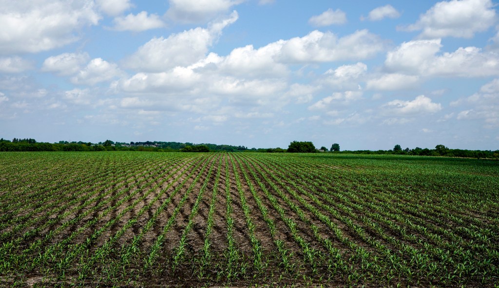 If you’ve eaten today, thank a farmer