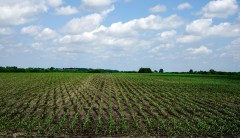 If you’ve eaten today, thank a farmer