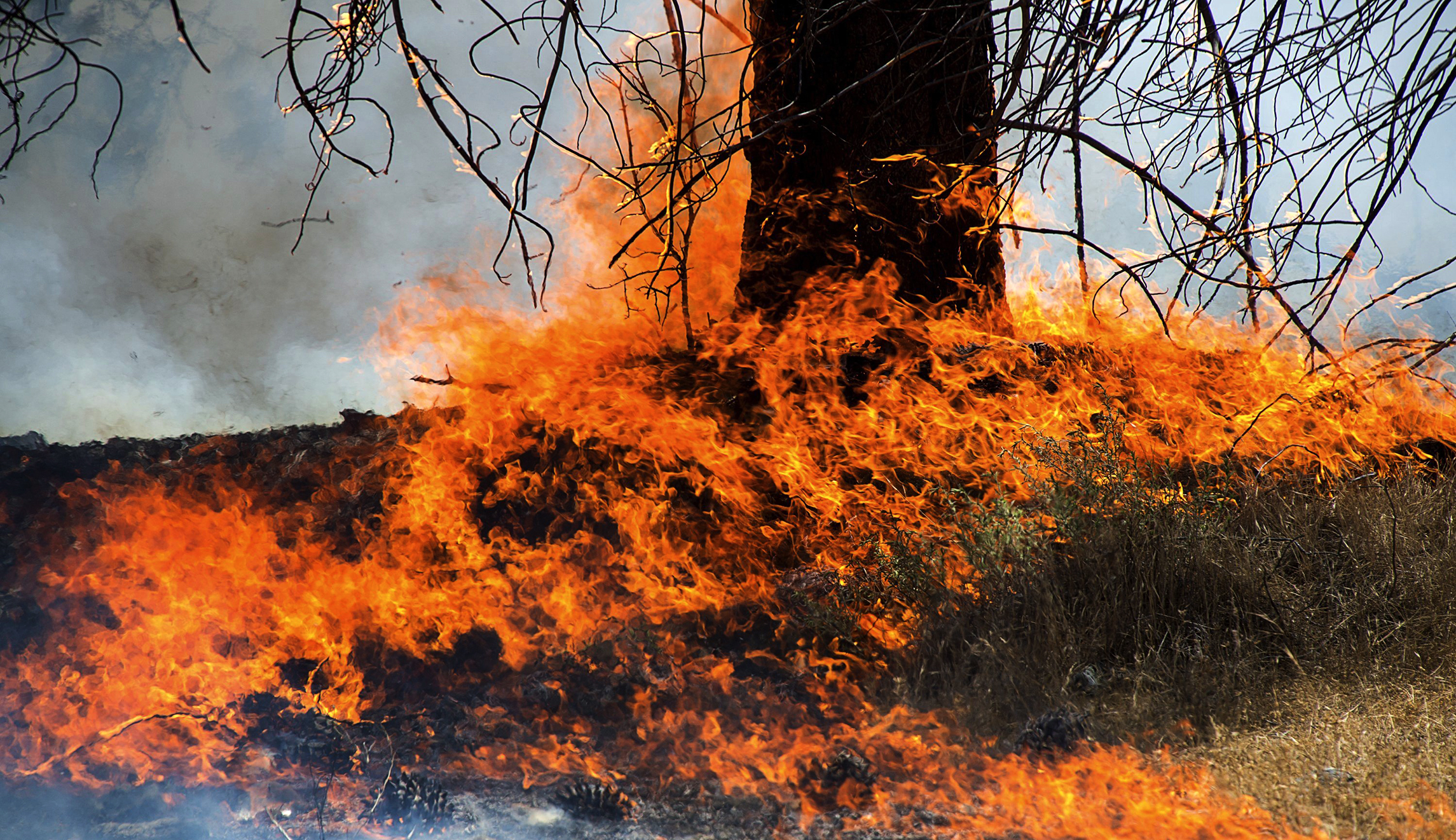 Wildfires burn across 10,500 acres in Northern California