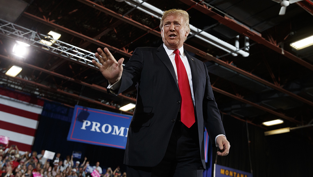 Trump says he’d use net to capture ‘clown’ who climbed Statue of Liberty