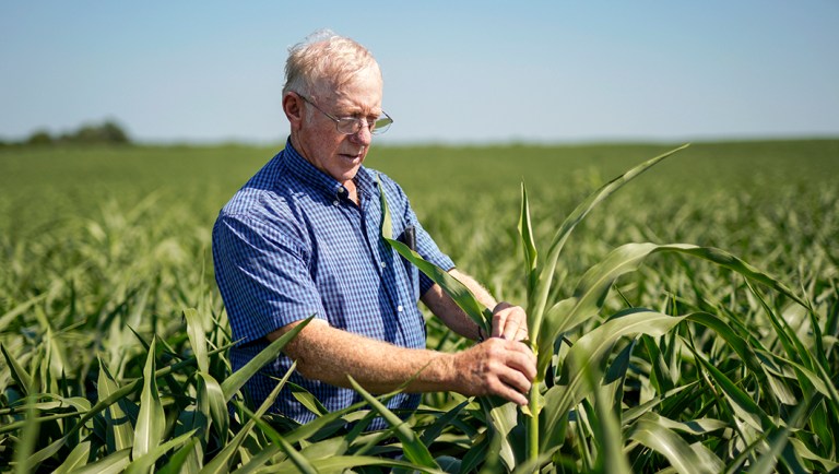 EPA uses sorghum to help farmers cope with trade war