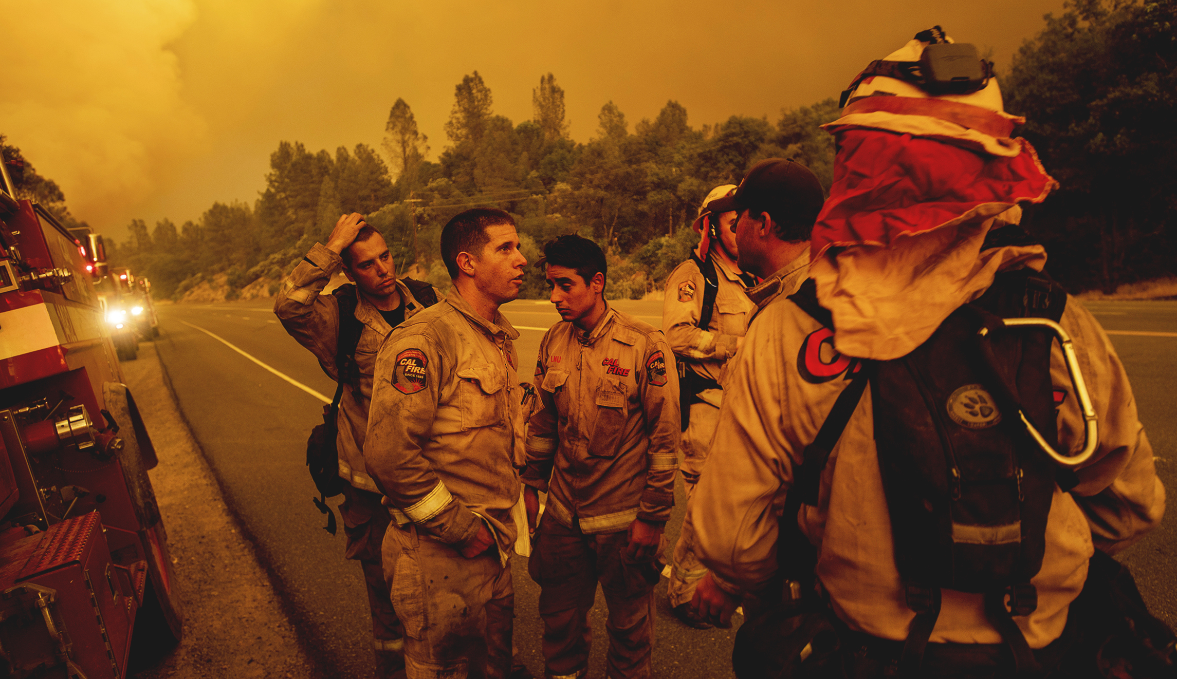 Mismanaged, overcrowded forests provide fuel to historic California wildfires, experts say