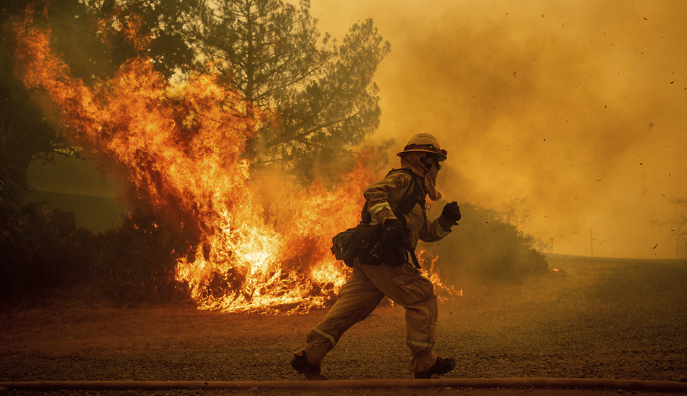Fire and fury: How government failures make wildfires even worse